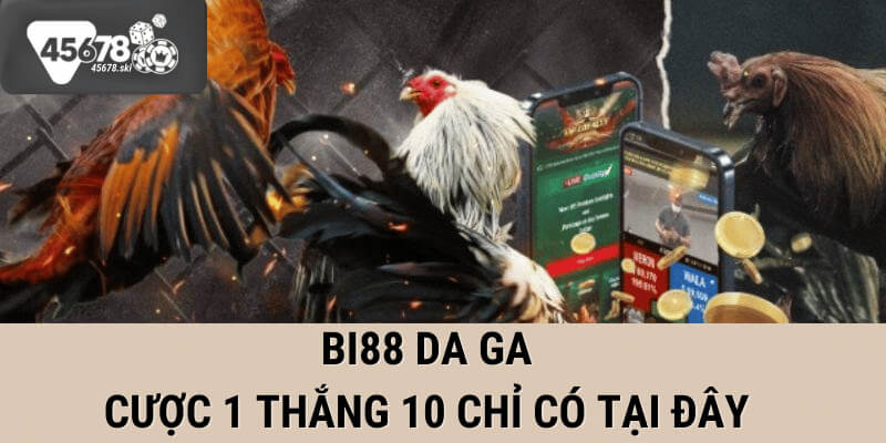 bi88 da ga tại 45678