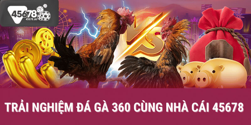 đá gà 360 tại 45678